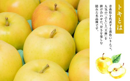 【レビューキャンペーン】【10~12月発送】 贈答用トキ約5kg（糖度証明書付き）【青森県 平川市 那由多のりんご園】贈答 青森 青森県産 平川 りんご リンゴ 林檎 くだもの 果物 フルーツ 【hi