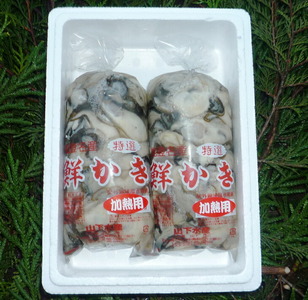 能登かきむき身・加熱用［むき身450g×2個］ | 牡蠣 ※2026年12月～発送