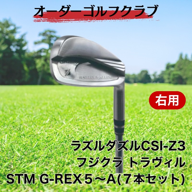 
            ゴルフ ゴルフクラブ ラズルダズルCSI-Z3 アイアンセット フジクラ トラヴィル オーダーメイド アイズファクトリー｜F40
          