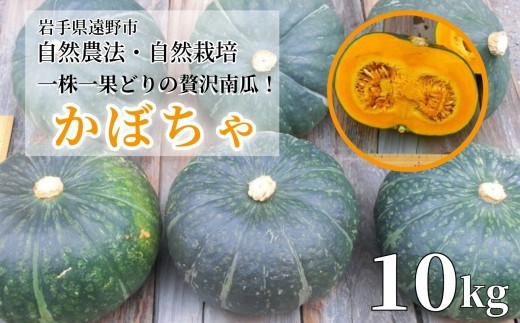 農薬不使用 自然農法 かぼちゃ（10㎏）甘い粉質系を凝縮 遠野もぐもぐカントリー 岩手県 遠野市【先行予約品：2026年9月1日以降発送】