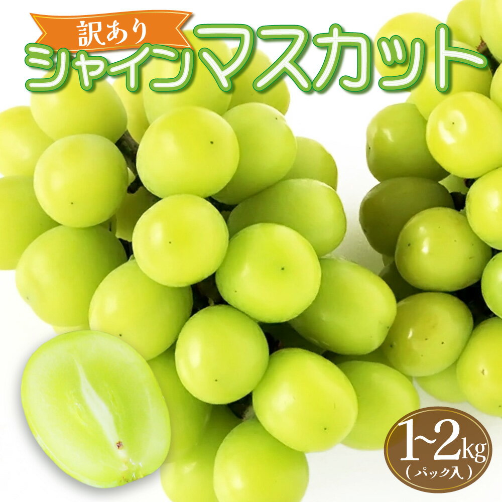 【ふるさと納税】＜訳あり＞ パック入り シャインマスカット　約1〜2kg【KAZUSAN農園】【KZBSP】