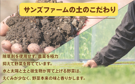 とうもろこし おおもの 5kg 【先行予約】 トウモロコシ