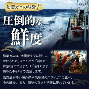 【魚倉】足１本なし生松葉ガニ（並500g） 訳あり 松葉ガニ