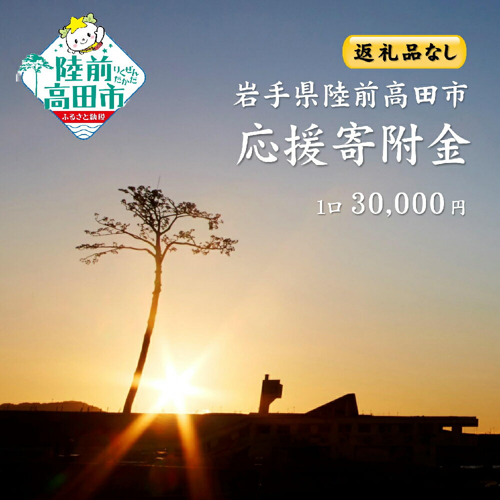 【ふるさと納税】≪返礼品なし≫ 1口 30,000円 岩手県 陸前高田市 ［ 子ども 支援 給付型奨学金 高齢者 障がい者 支援 農林水産業 商工業 振興 移住 定住 環境 美化 NPO 団体 支援 文化財 復元 まちづくり ふるさと 応援 支援 協力 寄附 寄付 ］