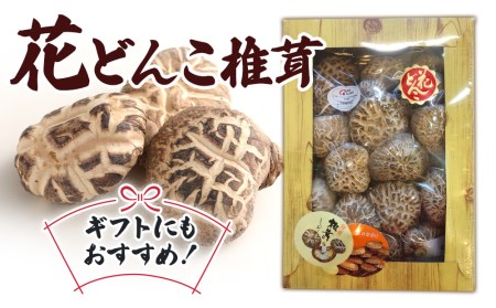 最高級 大分県産 花どんこ 椎茸 380g | 椎茸 津久見市