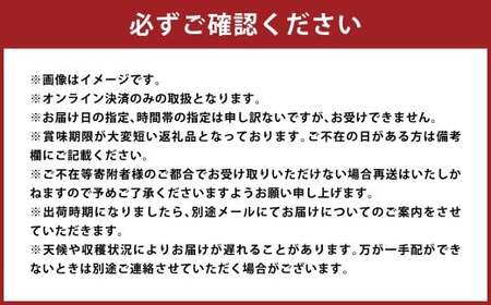 もっとも旬な品種の桃をお届け 岡山の桃 2kg【2026年6月下旬～9月下旬 発送予定】【桃 人気フルーツ 人気桃 おすすめフルーツ 岡山桃 岡山フルーツ 岡山県 倉敷市】