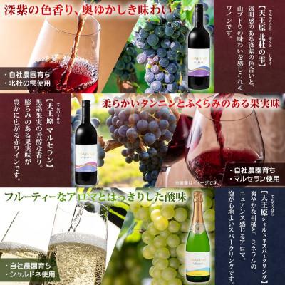 ふるさと納税 笛吹市 山梨県 YOAKENO 飲み比べ 5種×各1本 赤 白 泡 ワイン モンデ酒造 笛吹市 |  | 02