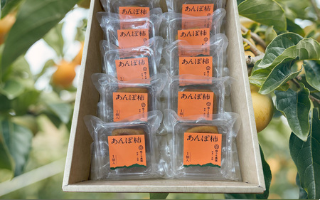 【 堀内果実園 】 優しい甘さ あんぽ柿 ギフト セット 10個｜フルーツ 果物 くだもの 柿 干し柿 かき カキ お菓子 あんぽ柿 和菓子 奈良県 五條市 凝縮 お取り寄せ グルメ 送料無料 極上 