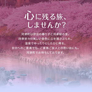 宿泊券 たっぷり河津旅 30,000円分 宿泊補助券 ホテル 旅館 温泉宿 高級宿 旅行券