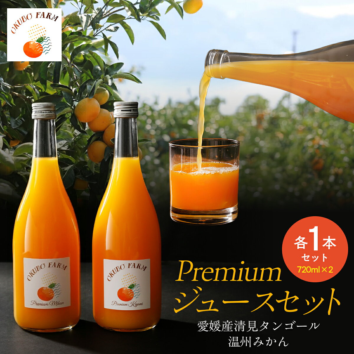 【ふるさと納税】Premium清見ジュース Premiumみかんジュース 各1本セット ※北海道・沖縄・離島への配送不可 ふるさと納税 人気 おすすめ ランキング 柑橘 みかん ミカン フルーツ ジュース みかんジュース オレンジジュース OKUBO FARM 愛媛県 伊方町 送料無料 IKTAT012
