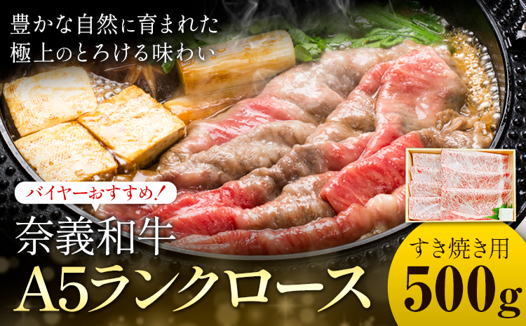 奈義和牛 A5ランクロース バイヤーおすすめ！ すき焼き用 500g 株式会社 天満屋《30日以内に出荷予定(土日祝除く)》岡山県 矢掛町 和牛 牛肉 肉 A5ランク すき焼き 送料無料