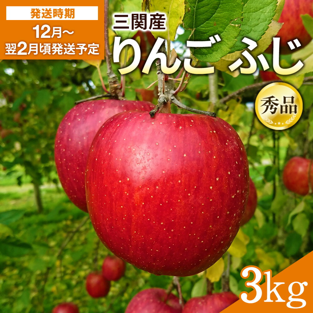 【ふるさと納税】三関産 りんご ふじ 秀品 3kg 秋田県 湯沢市 地場産 果物 フルーツ 林檎【三関果樹研究会】[L15102]