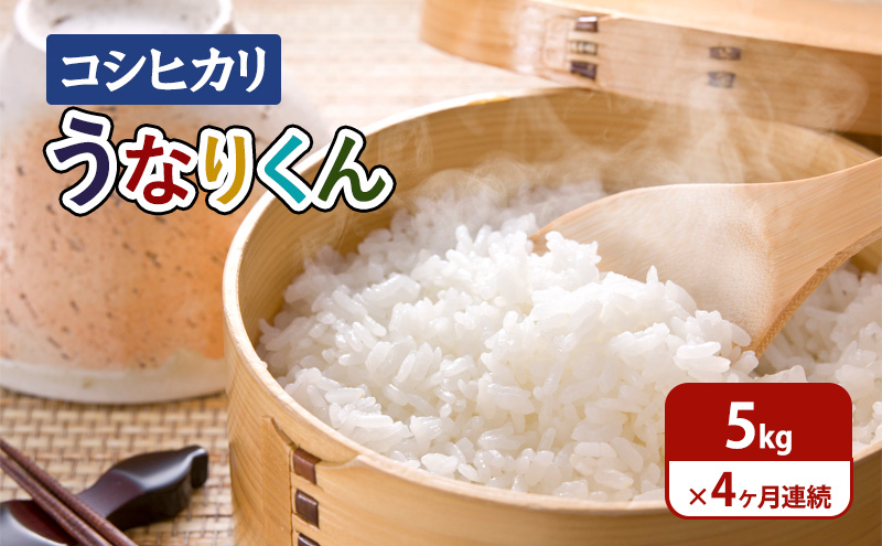 米 【令和6年度産】4ヶ月連続お届け「コシヒカリ」うなりくん5kg こしひかり コシヒカリ セット お米 精米 白米 定期便 成田市 千葉県