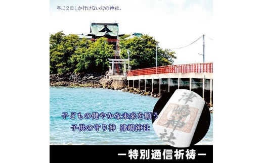 【小児守護神 津嶋神社】特別通信祈祷～子どもの病気平癒祈願～（授与品：御神札・御守り・撤饌・祈祷証明書）