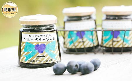 だいせんのめぐみブルーベリージャムセット_T2600002