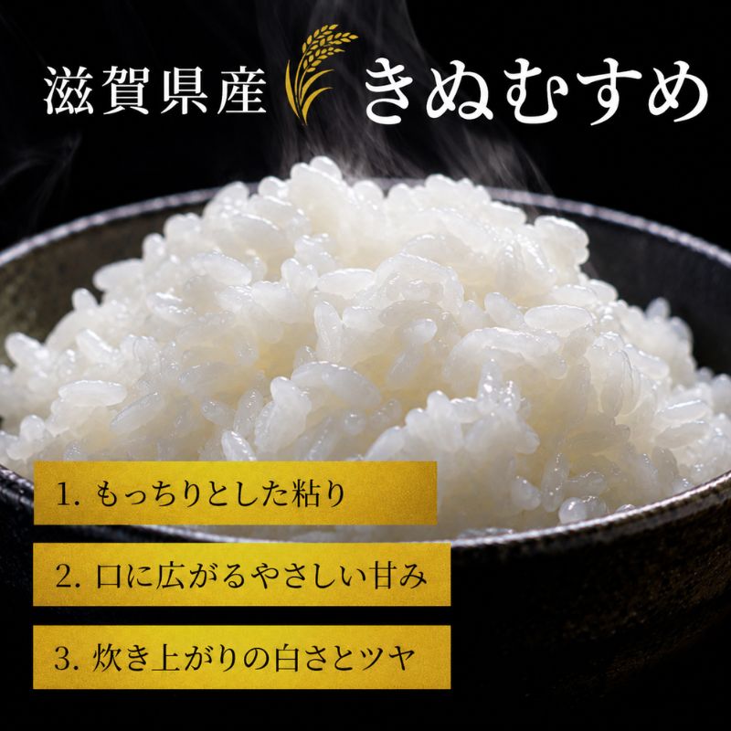 【令和8年産】 米 近江米 白米 5kg 先行予約 新米 きぬむすめ 精米 こめ コメ お米 ご飯 キヌムスメ 5キロ 度産 令和八年産 滋賀県 豊郷町