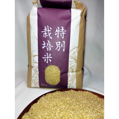 ふるさと納税 花巻市 【令和7年産】銀河のしずく 厳選プレミアム　玄米 5kg タカハシ農園 |  | 01