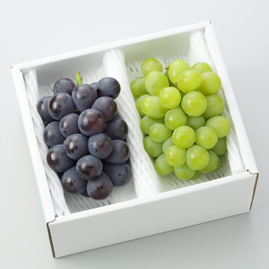 ＜環山堂＞岡山県産ぶどう詰合せ（マスカット・オブ・アレキサンドリア1房、ニューピオーネ1房　計1.4kg）