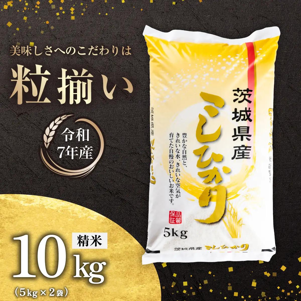 コシヒカリ 10kg 令和7年産 コシヒカリ 精米