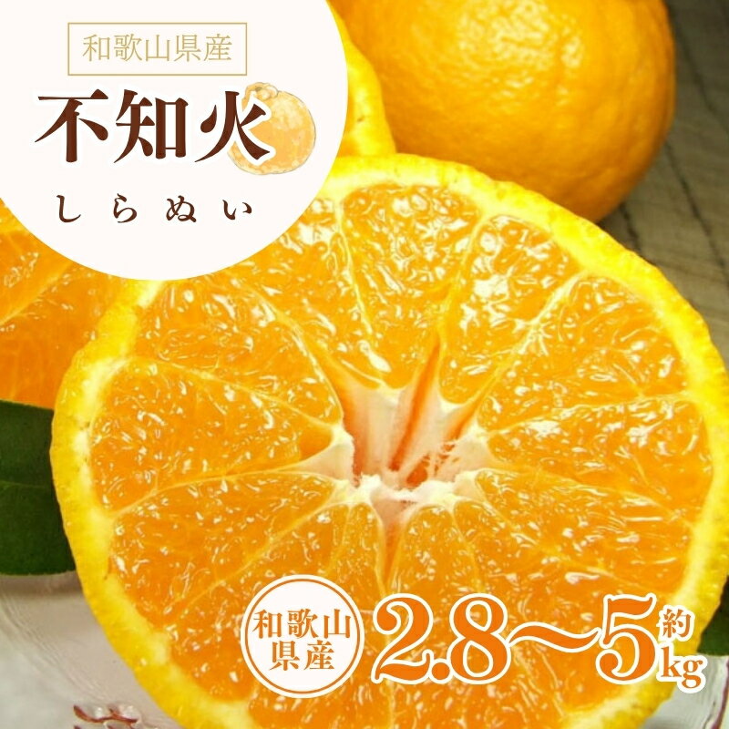 【ふるさと納税】 デコ不知火 約2.8kg 約5kg 秀品 サイズおまかせ 紀伊国屋文左衛門本舗 ※2026年2月上旬〜4月上旬頃に順次発送予定(お届け日指定不可)
