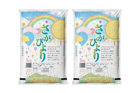 【2回定期便】特別限定セット さがびよりと佐賀牛ハンバーグ おいしいコラボ【米 ブランド米 肉 牛肉 ブランド牛 ハンバーグ お手軽】(H996P129)