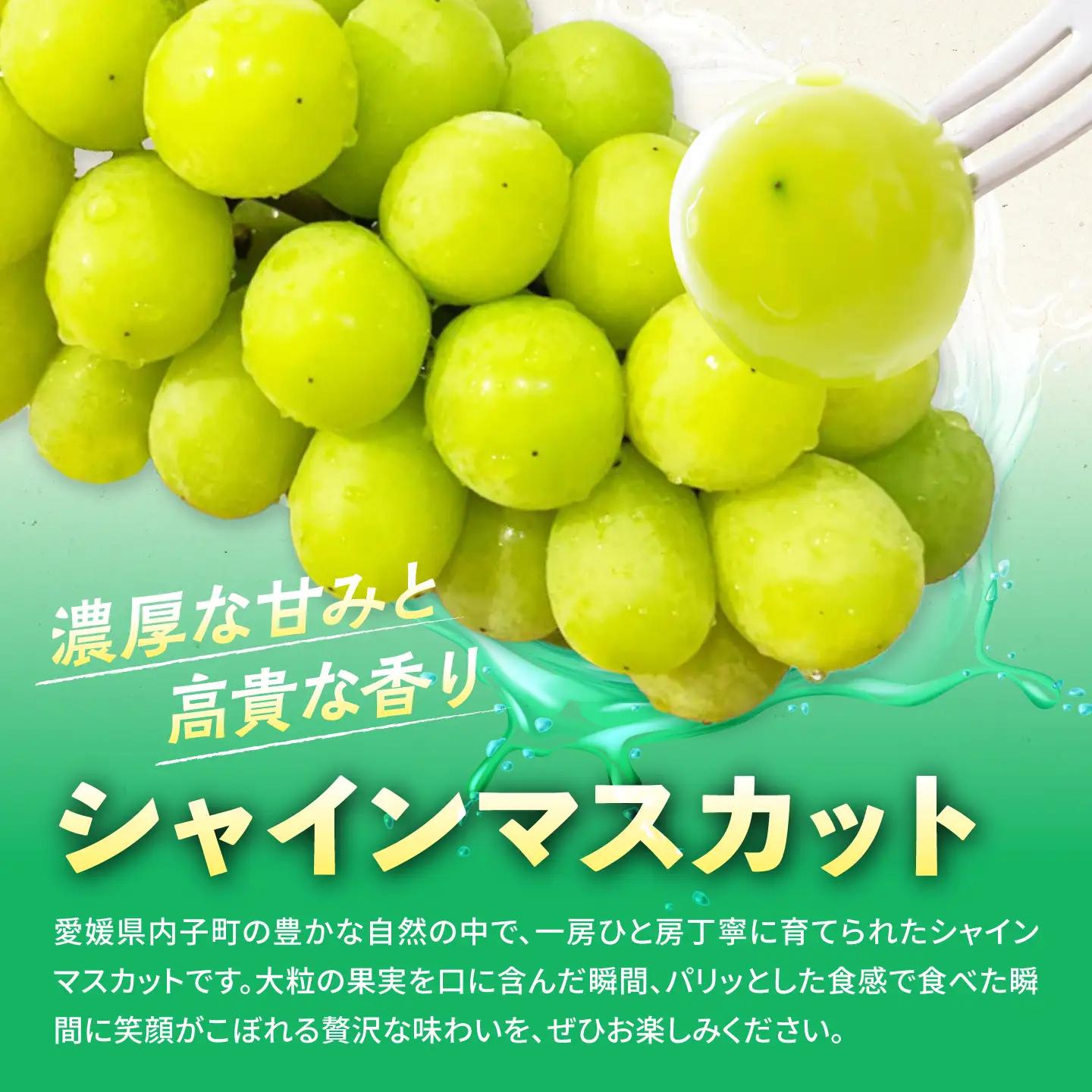 シャインマスカット 2kg (3から4房) BKCS003