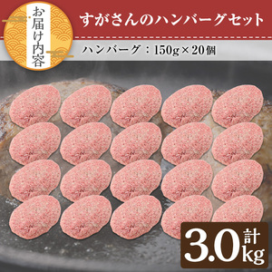 すがさんのハンバーグセット(計20個・1個150g) 冷凍 黒毛和牛 ハンバーグ【TRINITY】A786