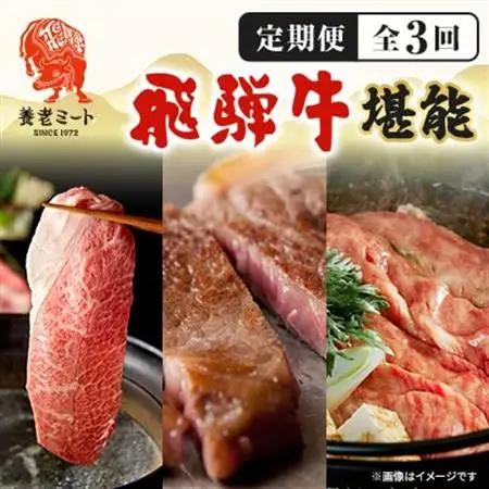 【毎月定期便】月替わりで色々な飛騨牛を楽しめる全3回【配送不可地域：離島】【4051413】