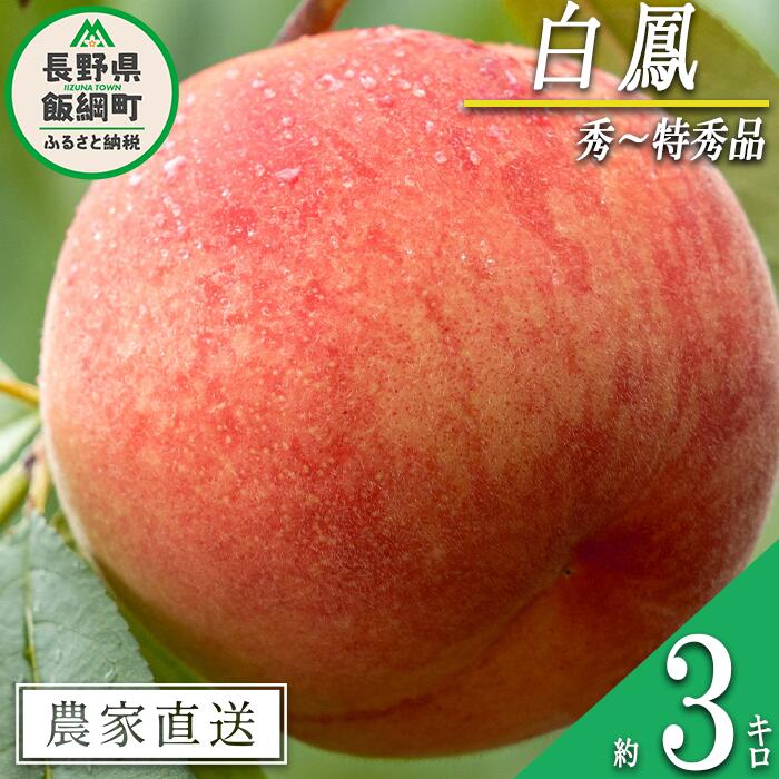 【ふるさと納税】 もも 白鳳 秀 〜 特秀 約 3kg 大垣農園 配送先は本州限定 令和7年度収穫分 長野県 飯綱町 〔 信州 果物 フルーツ モモ 桃 はくほう 長野 17000円 予約 農家直送 〕発送時期：2025年8月上旬〜2025年8月中旬