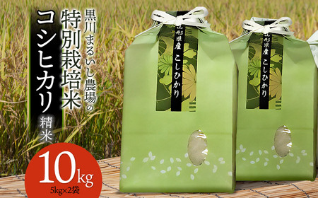 【令和7年産先行予約】 黒川まるいし農場の特別栽培米 コシヒカリ 10kg (5kg×2)　山形県鶴岡市産　K-784