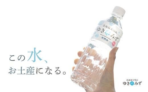 北海道大雪山ゆきのみず（550ml×24本入り）　2箱【 水 ミネラルウォーター 北海道 大雪山 自然水 軟水 クリーンウォーター ミネラル豊富北海道産水】
