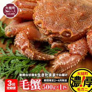 【令和9年発送先行予約】【3回定期便】三陸産 活毛ガニ 500g相当×1杯【08】 【期間限定2027年2月～4月発送】