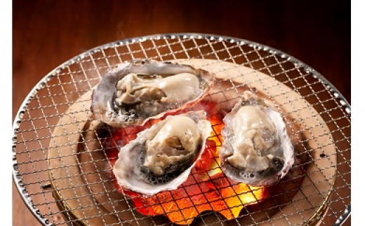 【 2026年発送 】【厳選！】日生頭島殻付牡蠣「島のしずく」（加熱用・食べ頃サイズ60個）