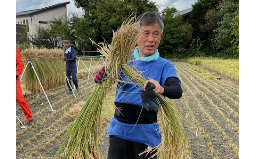 信州の恵み、松本市産のコシヒカリ