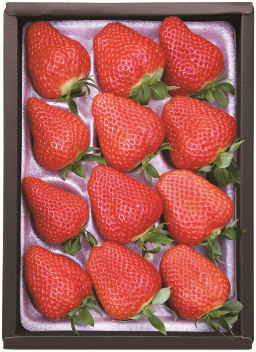 【ふるさと納税】G0703【期間限定】サンベリー蒲郡いちご「ゆめのか」12個入　甘い　果汁　季節　いちご　苺　ストロベリー