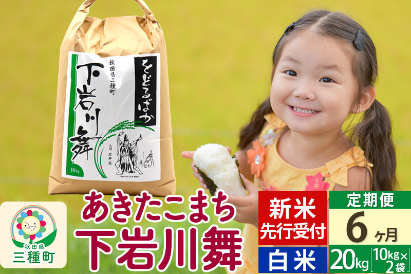 
            新米先行受付《6ヶ月定期便》【白米】あきたこまち 20kg (10kg×2袋 ) 秋田県三種町産 令和7年産 下岩川舞 石井漠 をどるばか オリジナルラベル
          