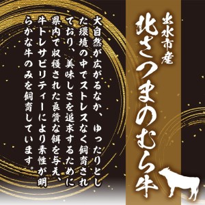 i317 ≪鹿児島県産黒毛和牛≫出水市産北さつまのむら牛 黒毛和牛＜計1kg＞サーロインステーキ(200g×2枚)、リブロース(300g×2パック)のセット！肉質のきめが細かく旨味の凝縮された牛肉をす