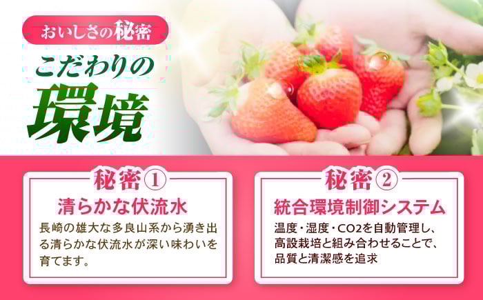 果物 フルーツ いちご イチゴ 苺 ストロベリー ベリー 冷凍 フローズン 冷凍いちご 冷凍フルーツ イチゴジャム かき氷
