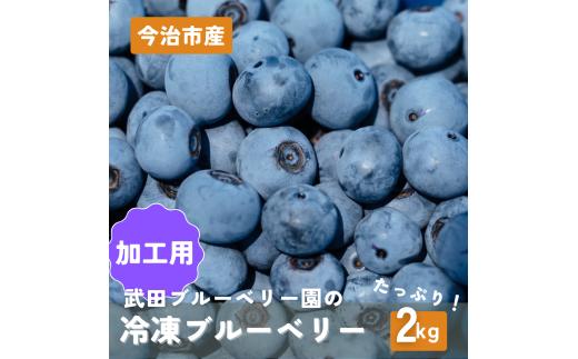 加工用冷凍ブルーベリー 2kg　規格外【V003080K2】