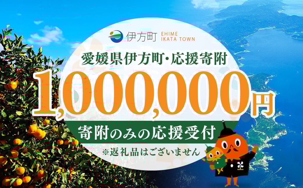 
            【返礼品なし】愛媛県伊方町・応援寄附1,000,000円（寄附のみの応援受付 ※返礼品はございません） 【ふるさと納税 人気 おすすめ ランキング 応援寄附 返礼品なし 愛媛県 伊方町 送料無料】 IKTBG009
          