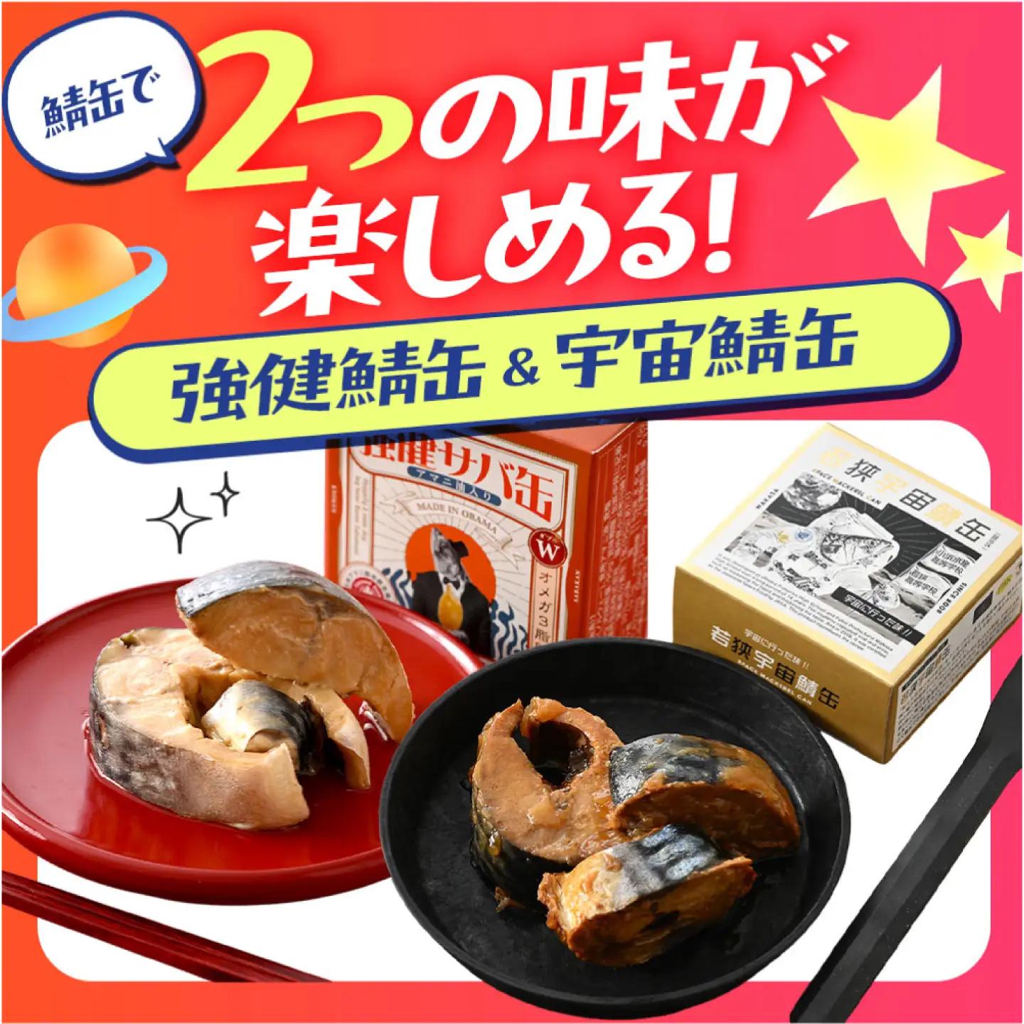 若狭宇宙鯖缶＆強健サバ缶アマニ油入り 食べ比べ48缶セット / サバ缶 鯖缶 宇宙日本食 アマニ油 オメガ3 保存食 小浜市 / 福井缶詰[BFAB084]
