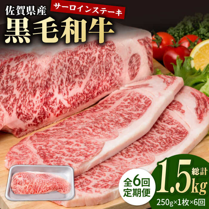 【ふるさと納税】【6回定期便】佐賀県産 黒毛和牛 贅沢 サーロイン ステーキ 250g×1枚【株式会社いろは精肉店】お肉 肉 牛肉 冷凍 和牛 [IAG085]