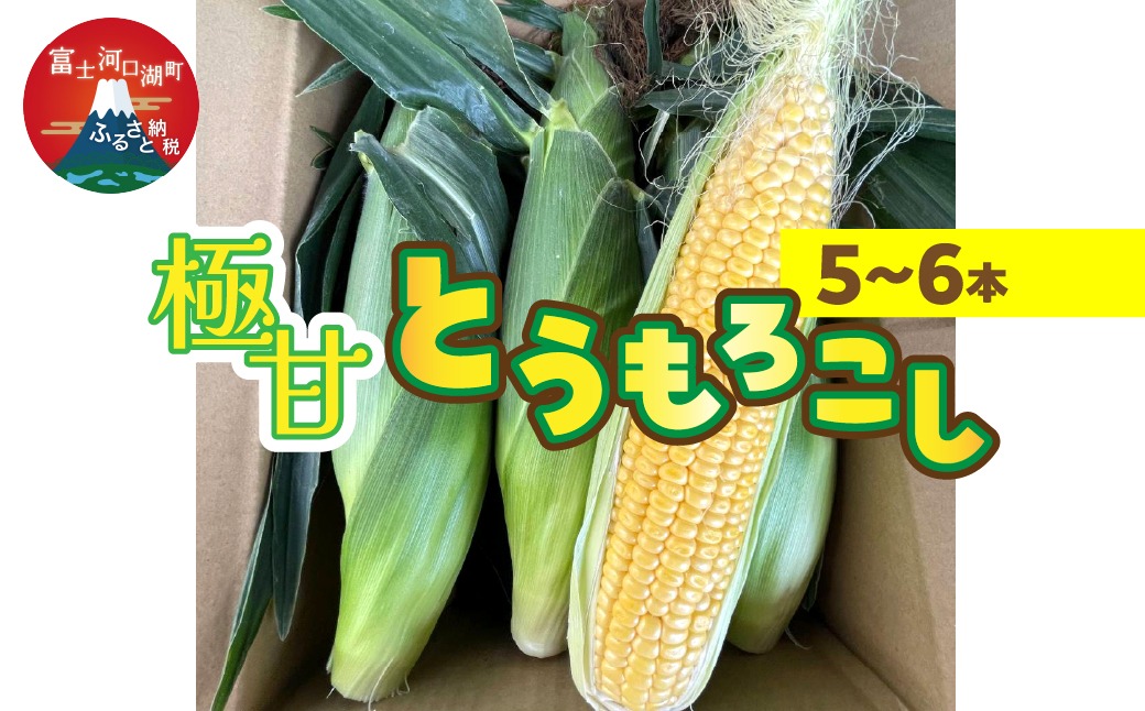 ＜2025年発送先行予約＞極甘とうもろこし（5～6本） FEG001