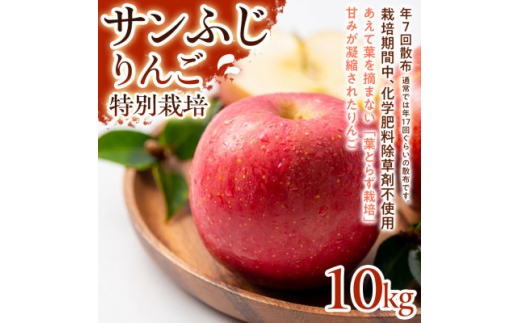 ＜濃厚な甘みとしっかり食感＞サンふじ 10kg 1セット【1779786】