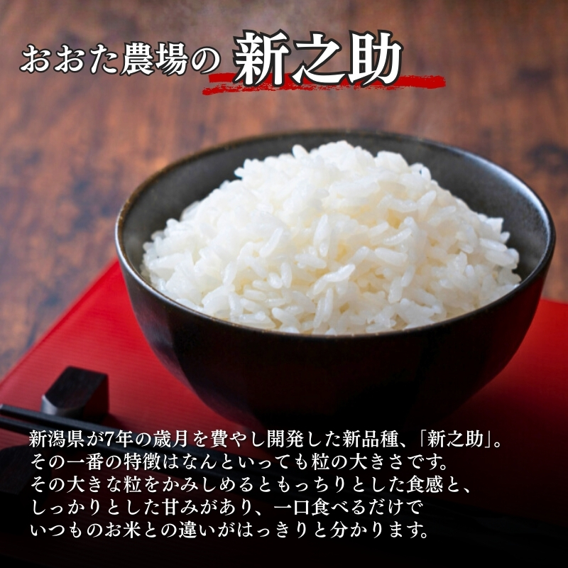 米 【令和7年産】 新潟県上越産 特別栽培米 新之助 【白米】 5kg 5キロ お米 こめ 白米 食品 人気 おすすめ にいがた 上越 上越産