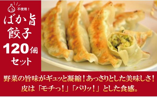 
にんにく不使用！　ばか旨餃子　120個
