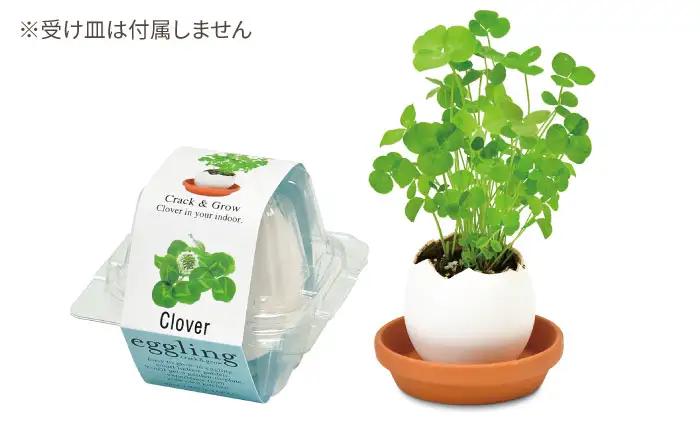 エッグリング クリアパッケージ 2個（バジル、クローバー） / 栽培キット 園芸 ハーブ / 瀬戸市 / 聖新陶芸[BBEK003]