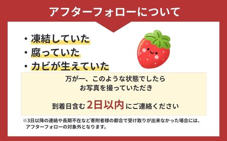 いちご やよい姫  300g×2パック | イチゴ いちご 横瀬町