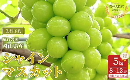 ぶどう 2025年 先行予約 シャインマスカット 厳選 秀品 約5kg 合計8～12房 農林大臣賞受賞 2025年7月上旬から発送 | フルーツ 果物 くだもの シャインマスカット マスカット 厳選 岡山県産 国産 ギフト 贈答用 プレゼント 贈り物 シャインマスカット マスカット フルーツ 果物 くだもの シャインマスカット マスカット