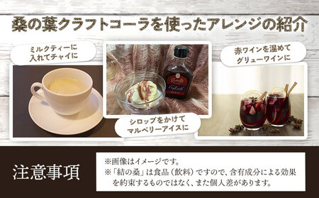 桑の実クラフトコーラ「結の桑」240g×1 本 希釈用 株式会社モアビートプロモーション《30日以内に出荷予定(土日祝除く)》ベース マルベリー スパイス配合 シロップ アントシアニン 鉄分 カリウム